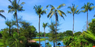 ル・オペラ/L’ OPERA