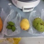 ミャンマーのマンゴーを食べ比べてみた