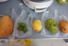 ミャンマーのマンゴーを食べ比べてみた