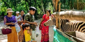 マンダレーの動物園/Yadanarbon Zoological Gardens