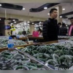 宝石オークションによる収入は見込めない