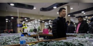 宝石オークションによる収入は見込めない